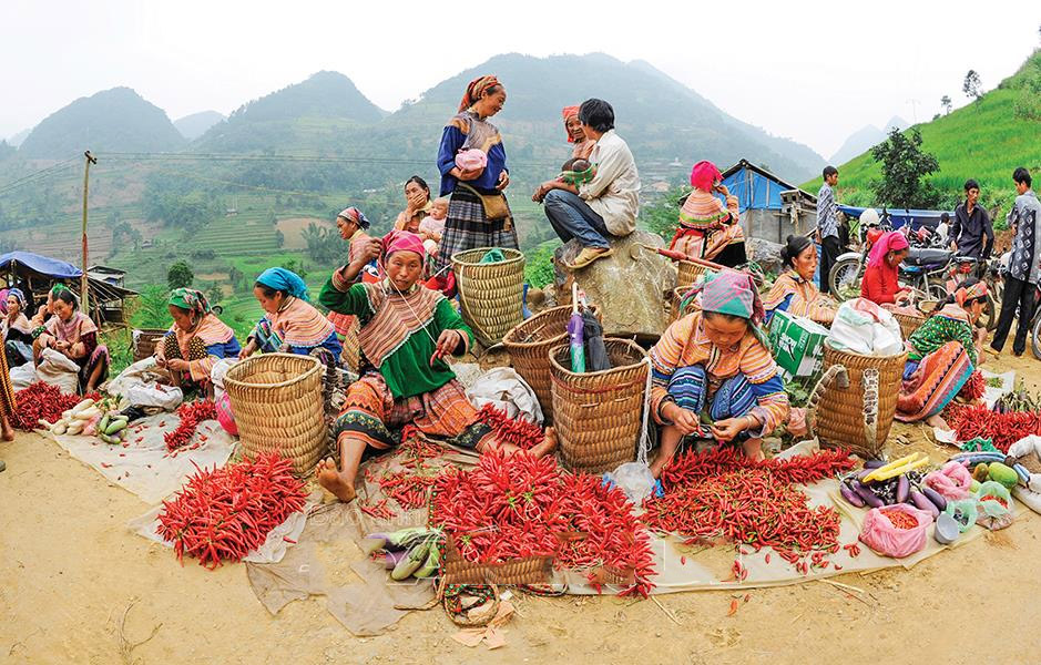 Guide de voyage Vietnam en Aout:  Découvrez les merveilles du Vietnam pendant la saison estivale